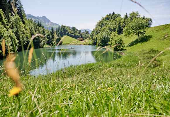 Der Seewaldsee